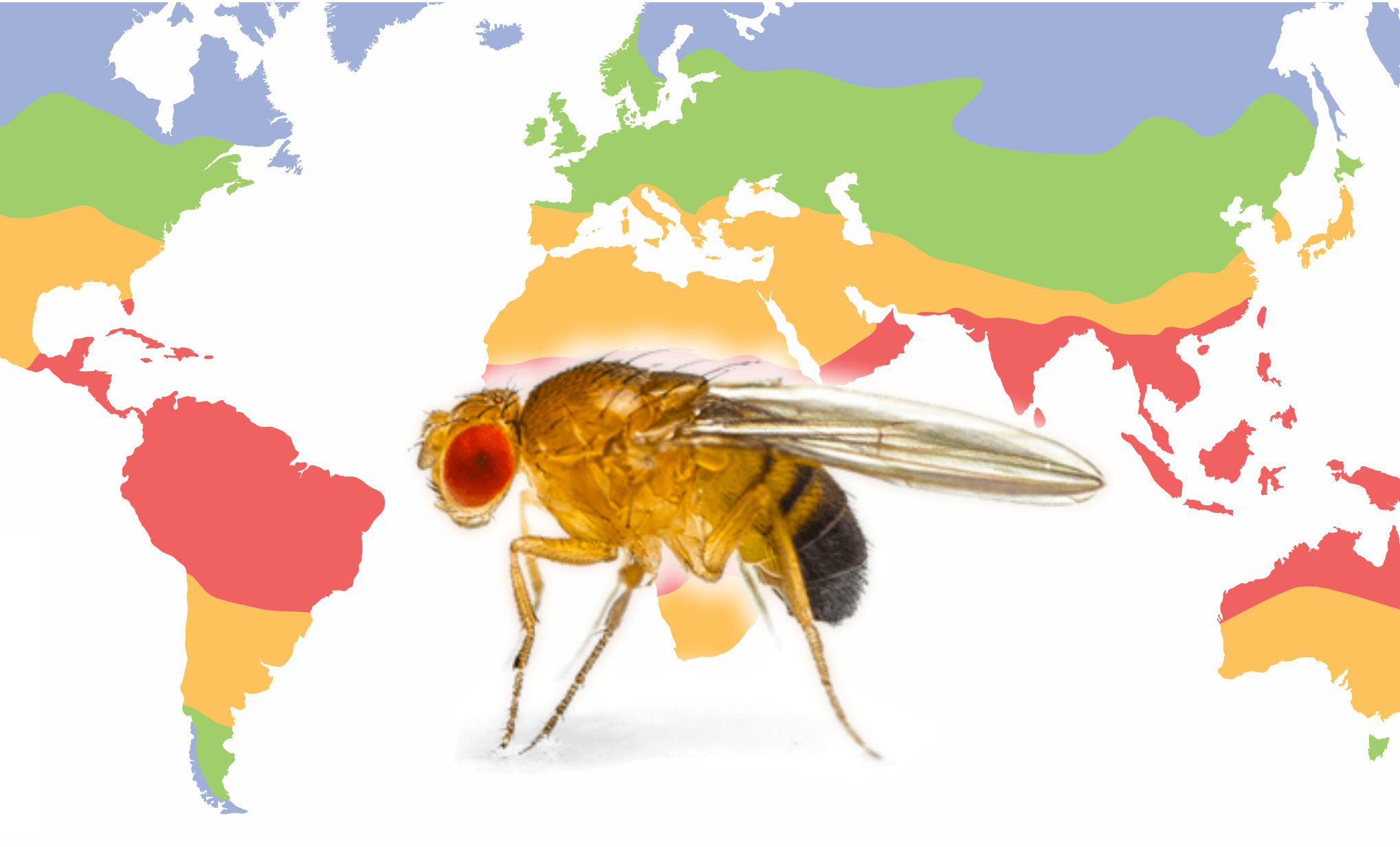 Adaptive evolution research image