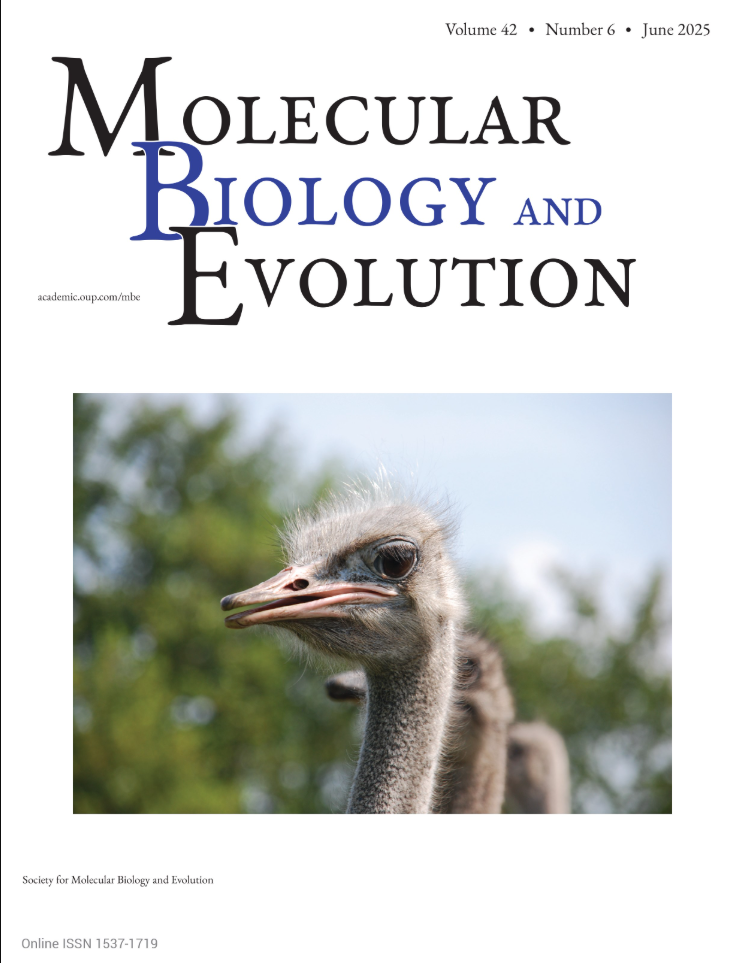 MBE cover