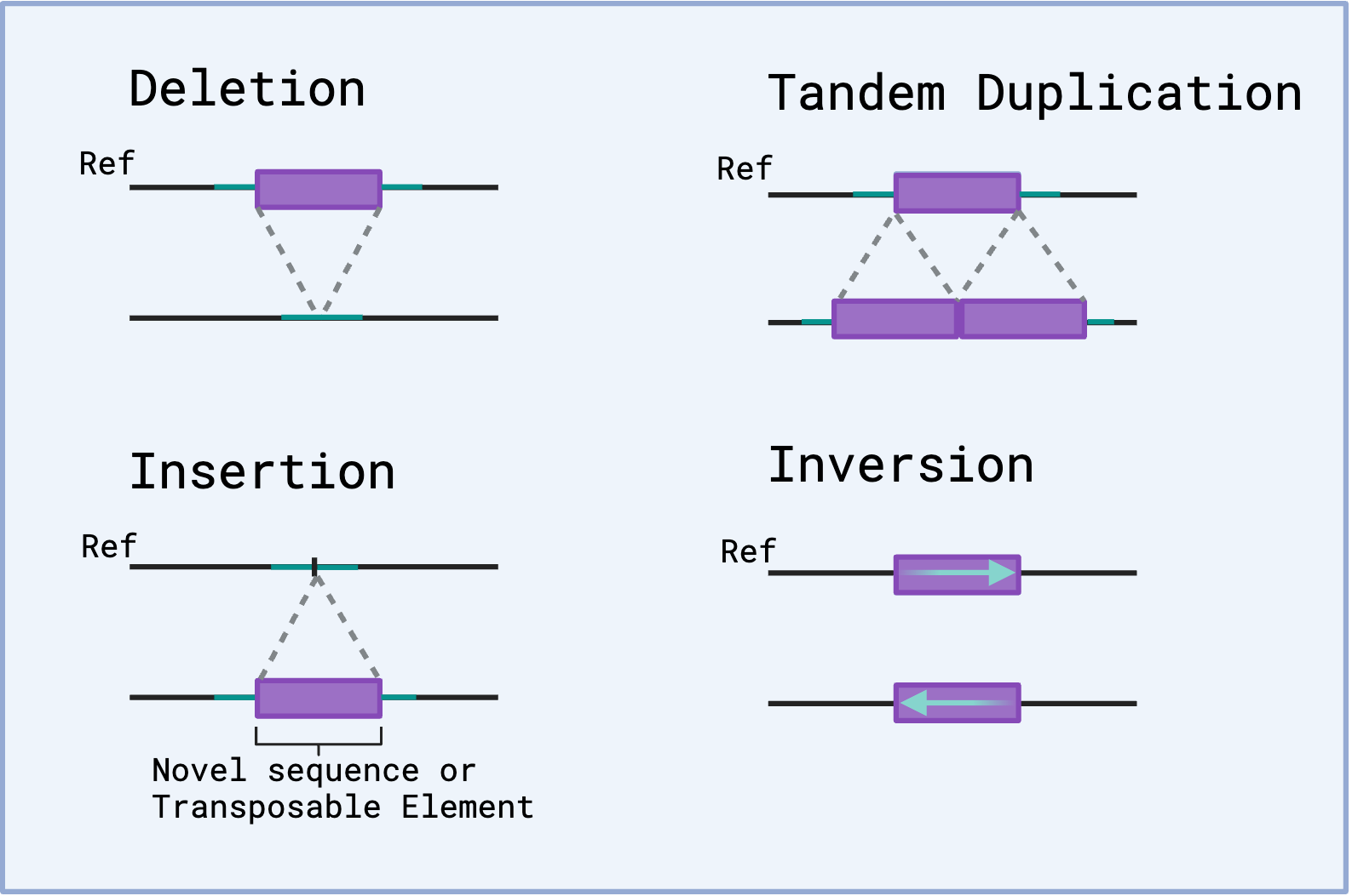 Structural variation research image
